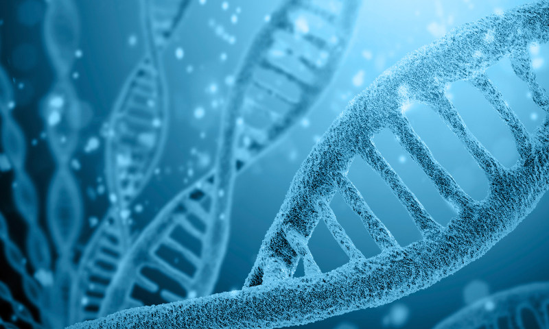 Forskning på DNA, genetikk og Mormons bok