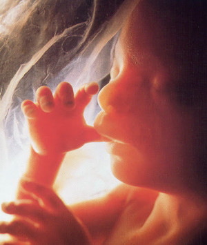 Abort sett i et humanistisk og religiøst lys.